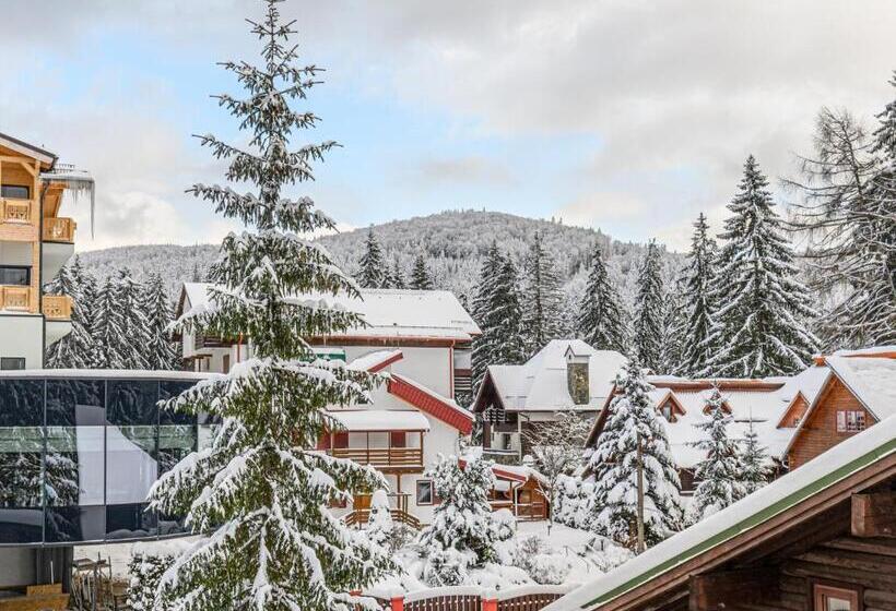 בית מלון כפרי Pensiunea Hilltop