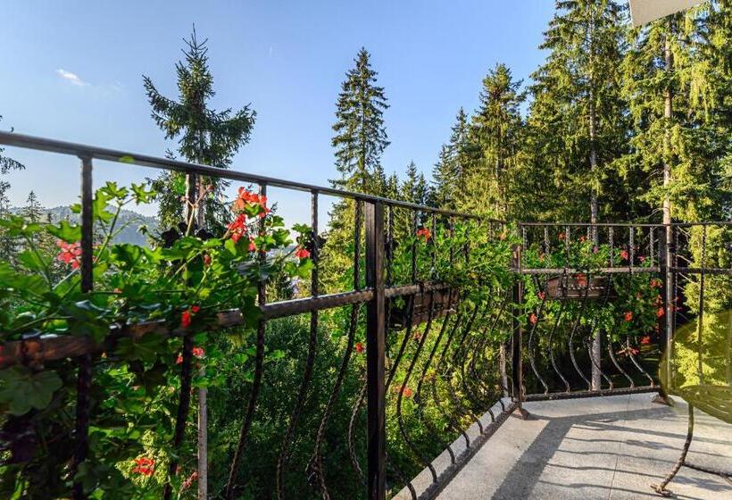 בית מלון כפרי Pensiunea Hilltop