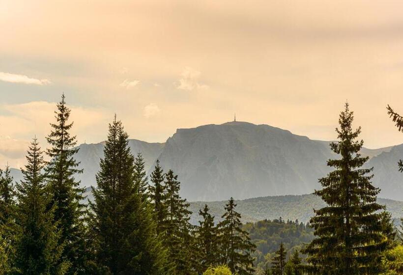 בית מלון כפרי Pensiunea Hilltop