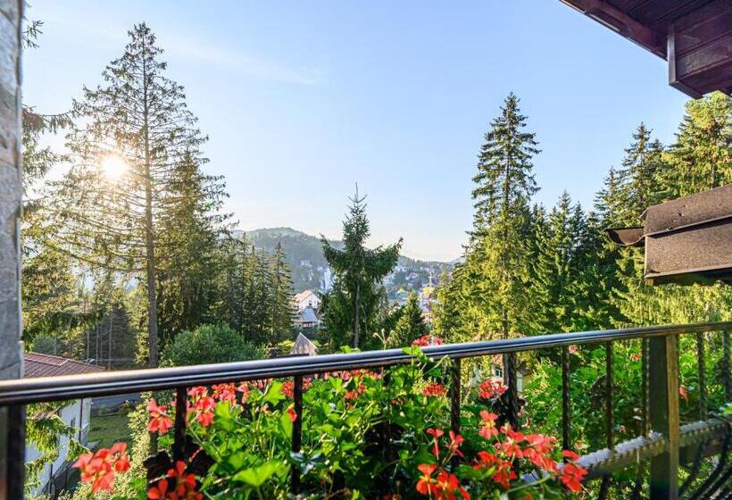 בית מלון כפרי Pensiunea Hilltop