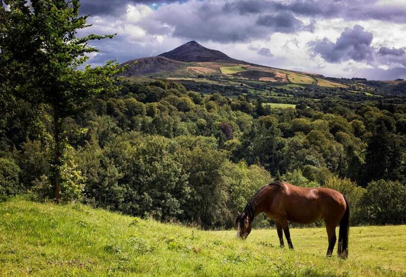 ホテル The Lodge At Woodenbridge