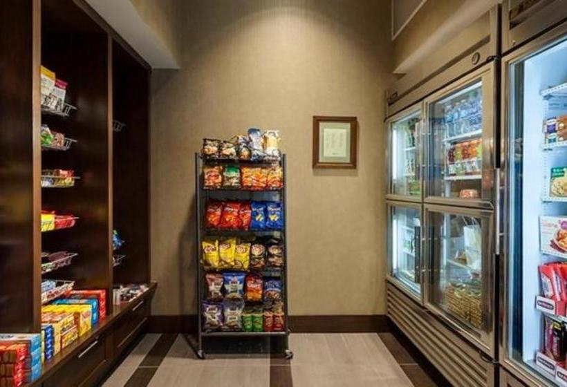 هتل Hilton Garden Inn North Dallas Central Expy