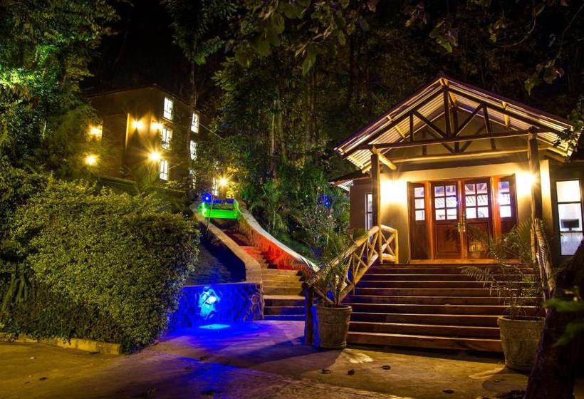 هتل Malkia Trees Lodge