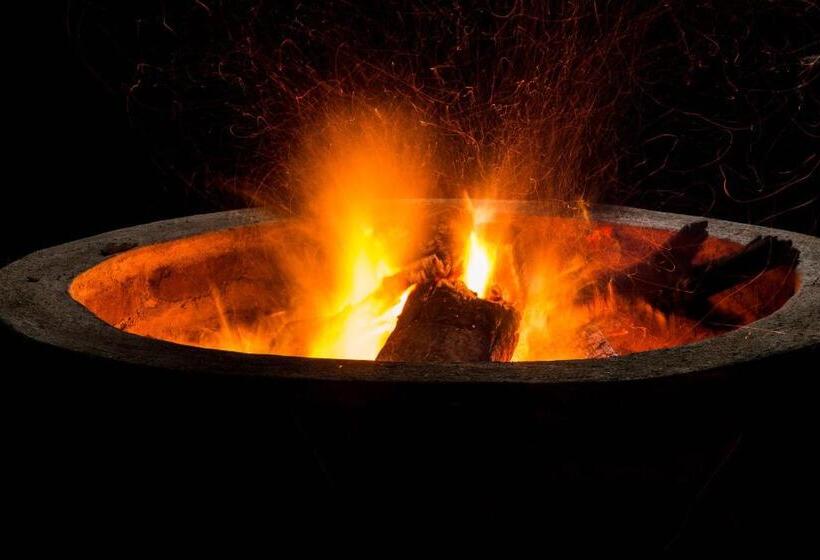 هتل Malkia Trees Lodge