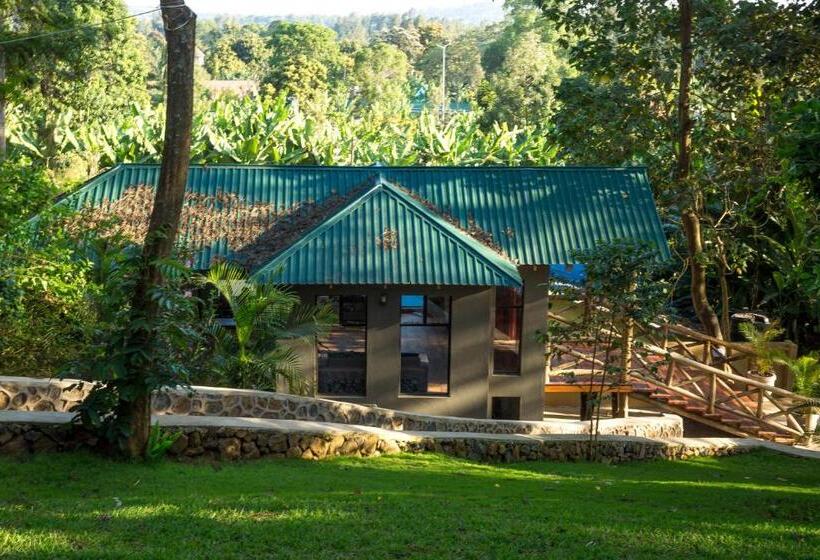 هتل Malkia Trees Lodge