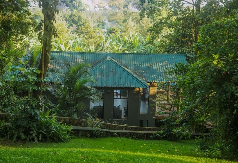 هتل Malkia Trees Lodge