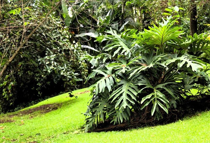 هتل Malkia Trees Lodge