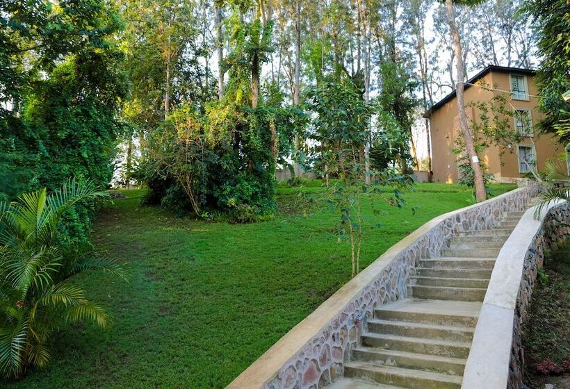 هتل Malkia Trees Lodge