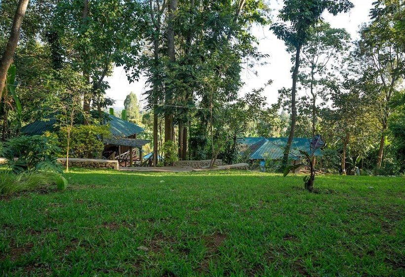 هتل Malkia Trees Lodge