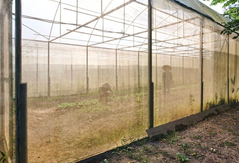 乡村酒店 The Namkhan, A Small Luxury Hotel Of The World