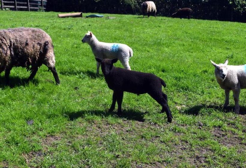 Orchard Grove Bed & Breakfast R21rc58