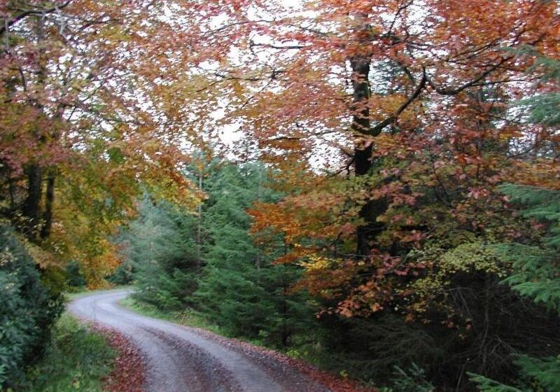 膳宿费 Clancys Of Glenfarne