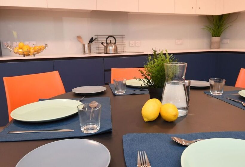 Yugo Explore   Lee Point