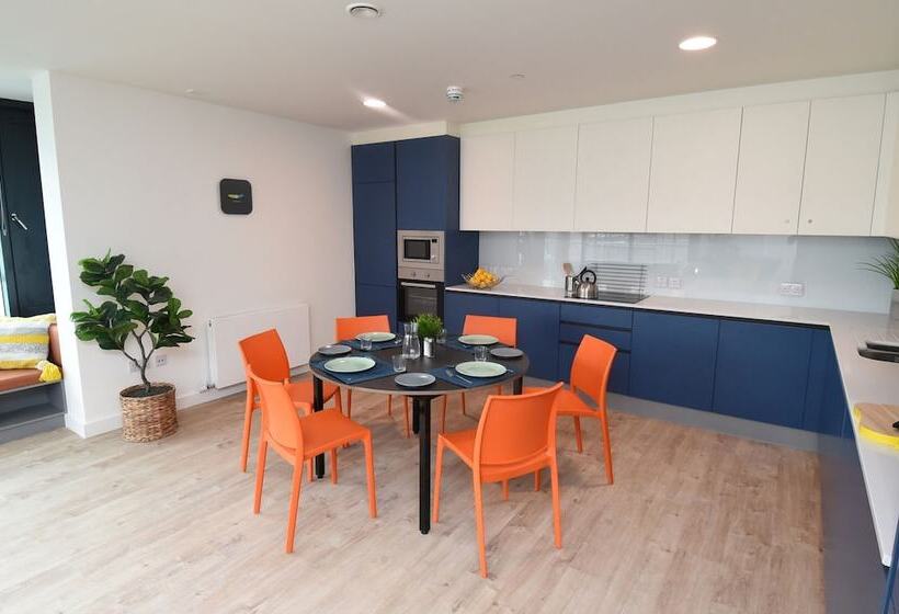 Yugo Explore   Lee Point