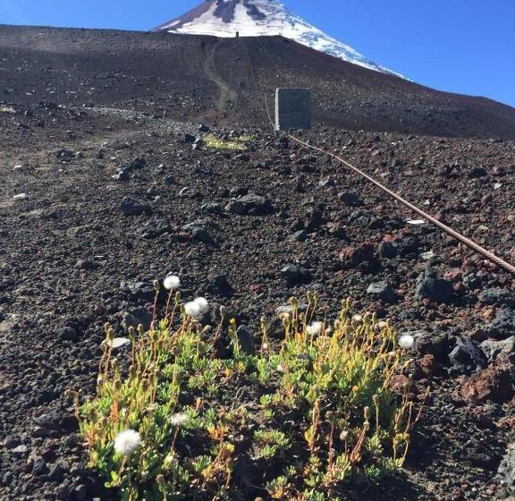 Hamilton's Place Bed And Breakfast