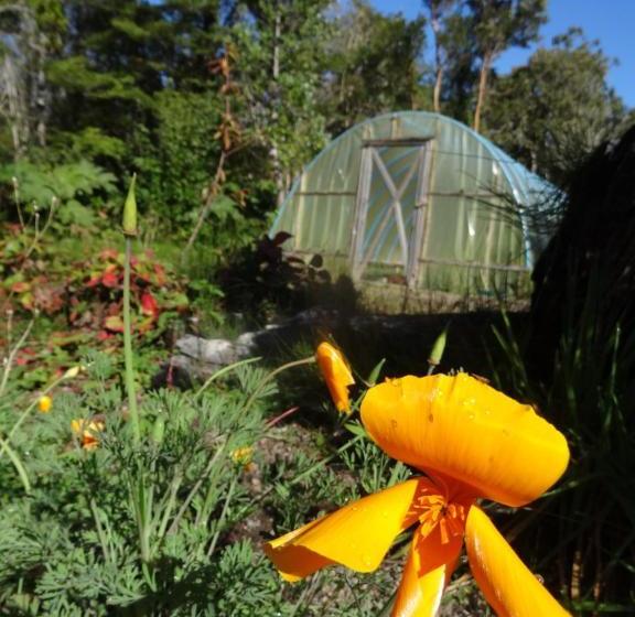 Hamilton's Place Bed And Breakfast