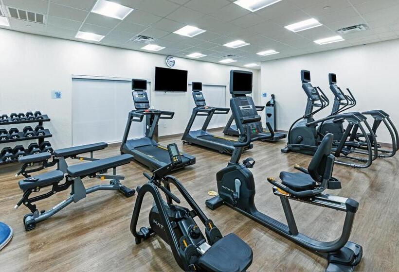 호텔 Holiday Inn Express & Suites Houston N Downtown, An Ihg