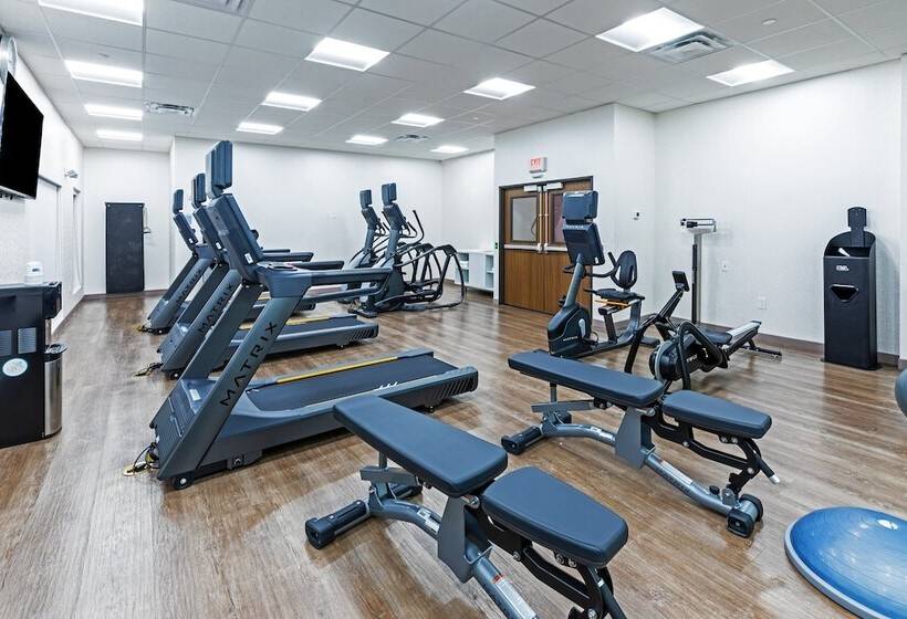 호텔 Holiday Inn Express & Suites Houston N Downtown, An Ihg