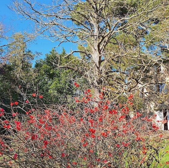 민박 Domaine D Herminis