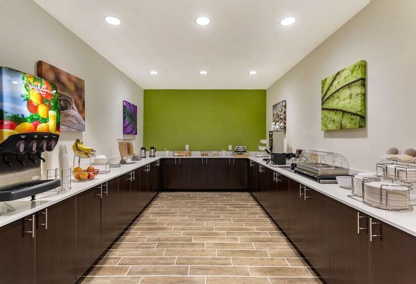 בית מלון כפרי Sleep Inn & Suites Gallatin   Nashville Metro