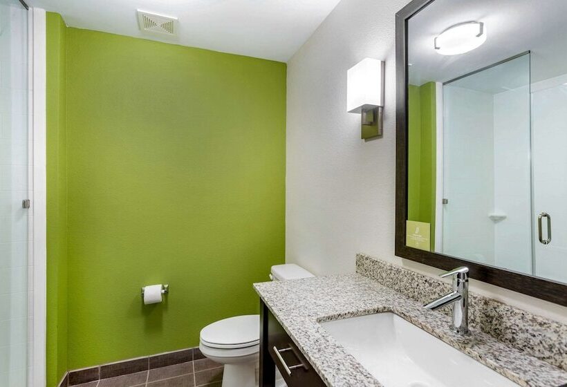 בית מלון כפרי Sleep Inn & Suites Gallatin   Nashville Metro