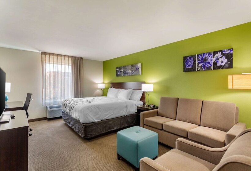 בית מלון כפרי Sleep Inn & Suites Gallatin   Nashville Metro