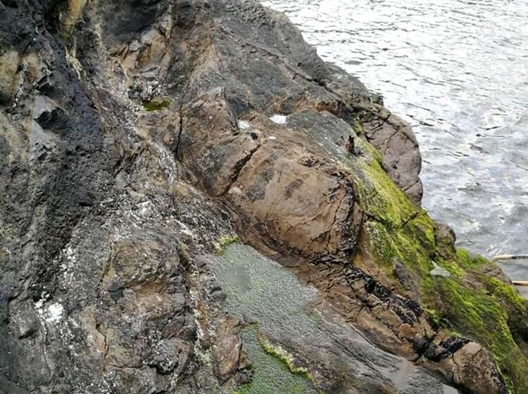 Charming House In Nois Lugo With Terrace And Garden