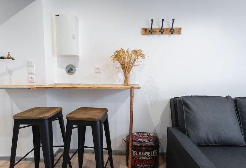 La Dimiere   Le Postel   Appartements De Standing En Hyper Centre   Louviers