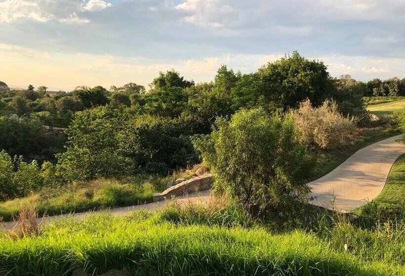 פנסיון Creek Lane Guest House