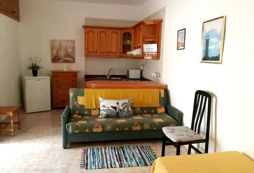 Exceptional Studio In Frontera | 25 Sqm | Terrace