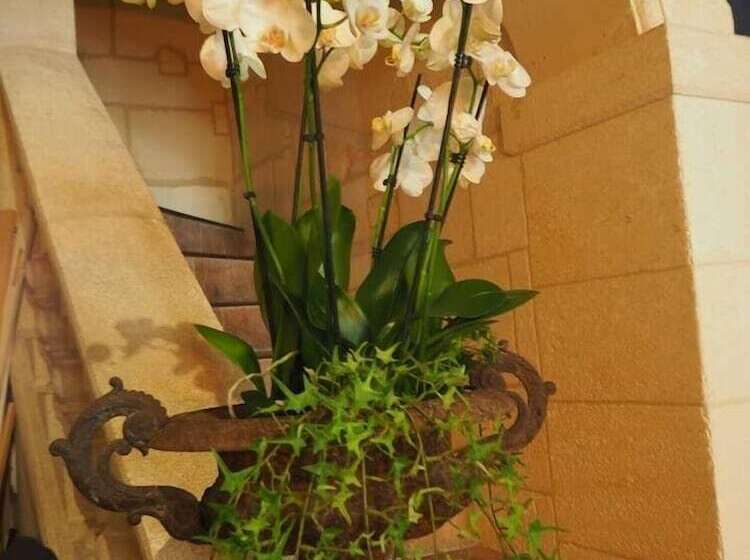 مبيت وإفطار Chambres D Hotes Diderot