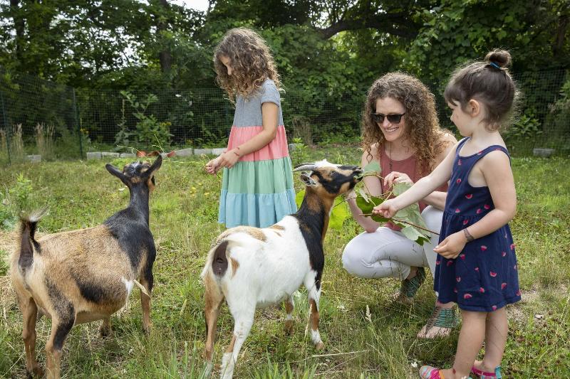 ベッドアンドブレックファースト Sesuit Harbor House