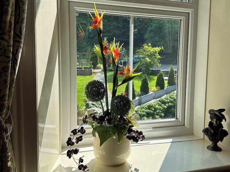 Bed and Breakfast Tyn Y Fron Country House