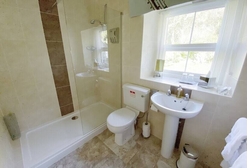 Bed and Breakfast Tyn Y Fron Country House