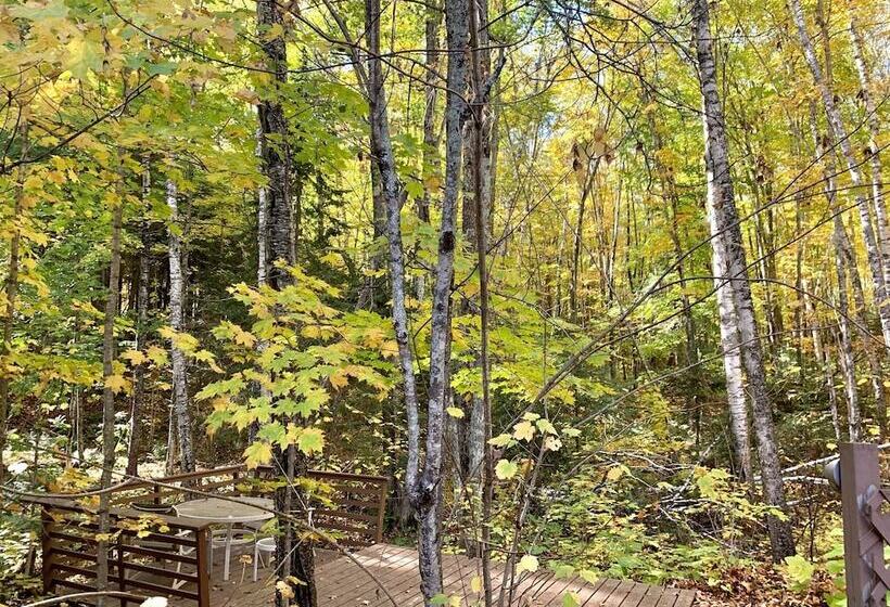 Hauser S Bayfield Cabin