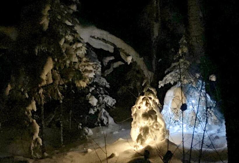 Hauser S Bayfield Cabin