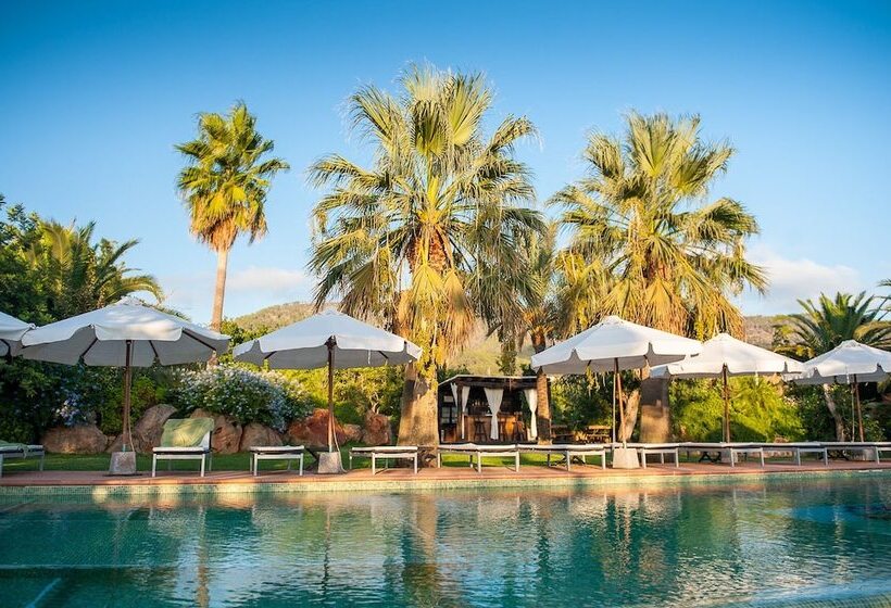 فندق Agroturismo Can Gall