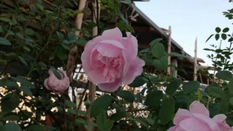 Kaibin International Hotel Jingdezhen