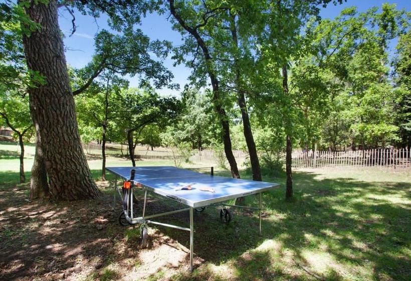 Domaine Les Petites Vaines