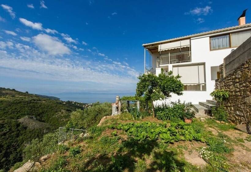 Panorama Amazing Sunsets By The Beach