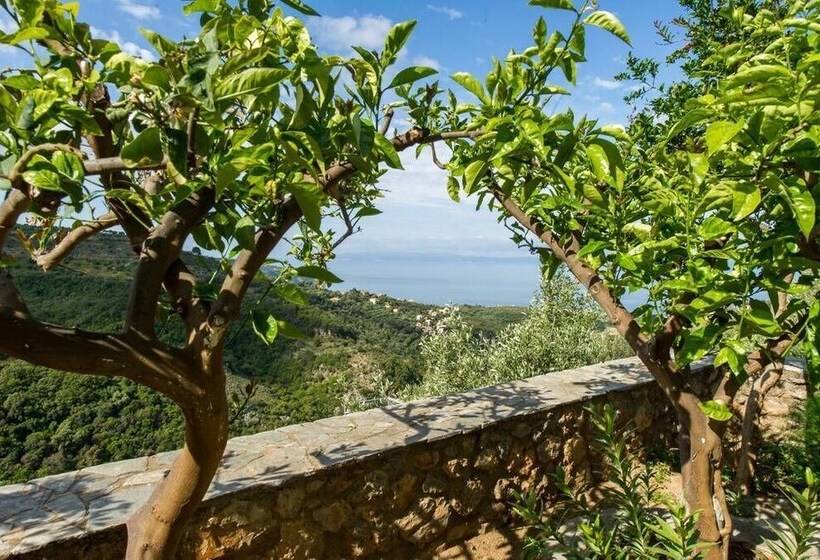 Panorama Amazing Sunsets By The Beach