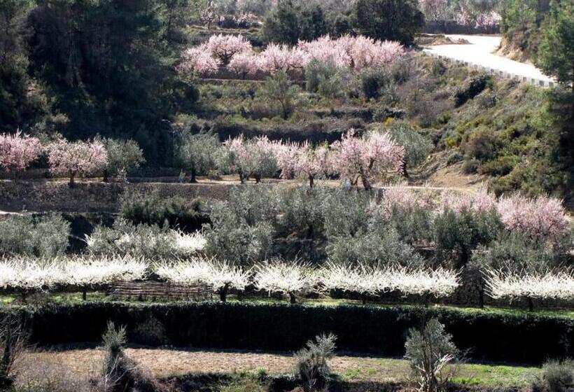 פנסיון Casa Malferit