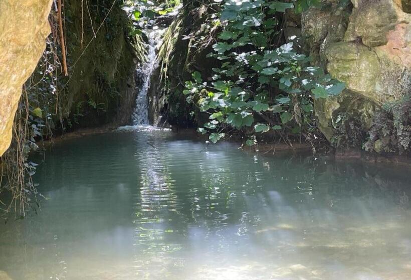 פנסיון Casa Malferit