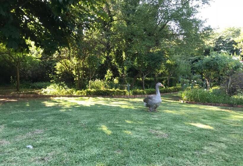 ペンション Highland Rose Country House & Serenity Spa