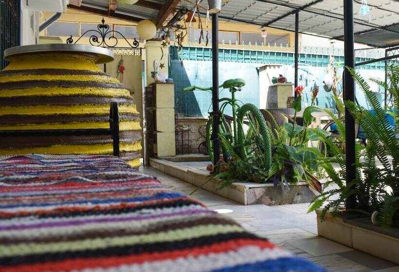 Urban Seaside Oasis   Adriana S Garden Paradise