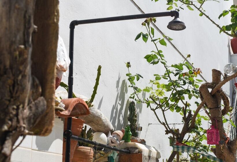 Urban Seaside Oasis   Adriana S Garden Paradise