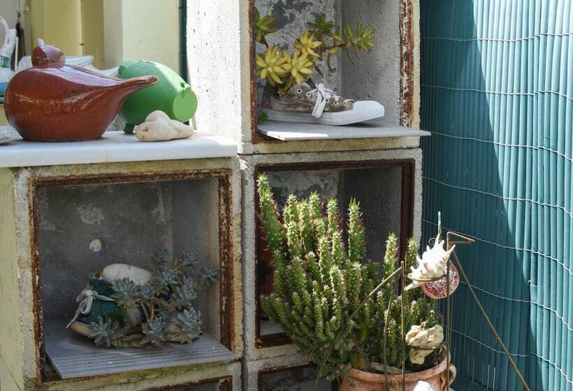 Urban Seaside Oasis   Adriana S Garden Paradise