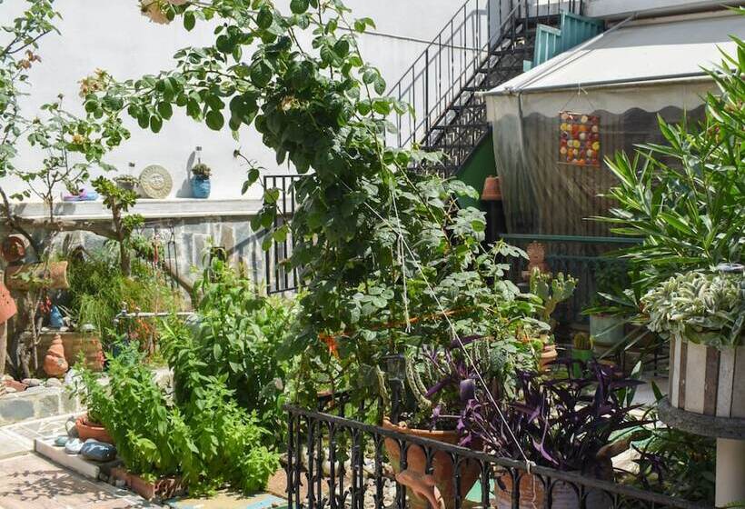 Urban Seaside Oasis   Adriana S Garden Paradise