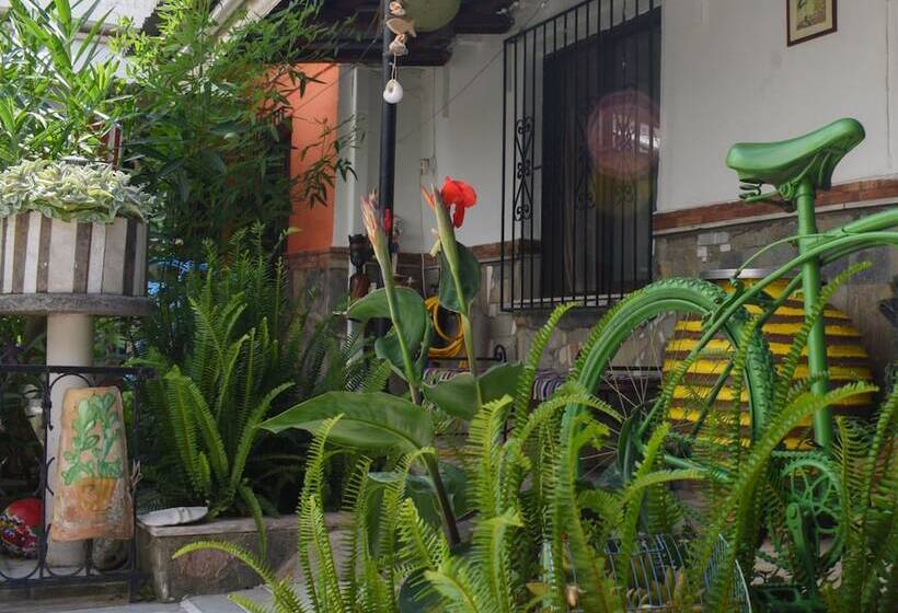 Urban Seaside Oasis   Adriana S Garden Paradise