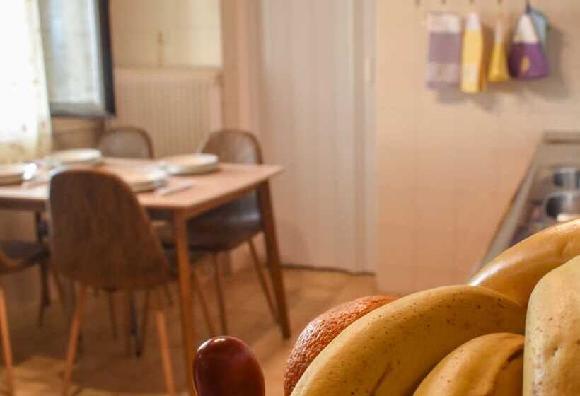 Urban Seaside Oasis   Adriana S Garden Paradise